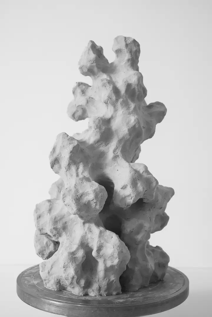 Escultura «IX/18/26» de Alexander Tinti – Vista 1 de 31