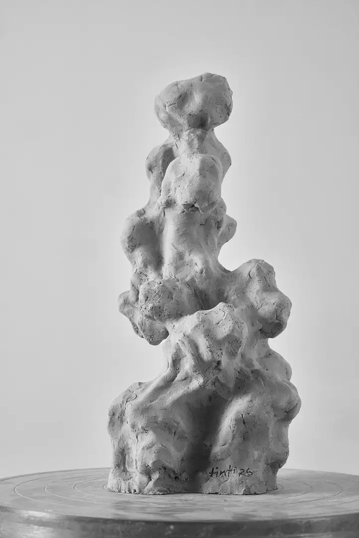 Escultura «VII/6/26» de Alexander Tinti – Vista 1 de 71